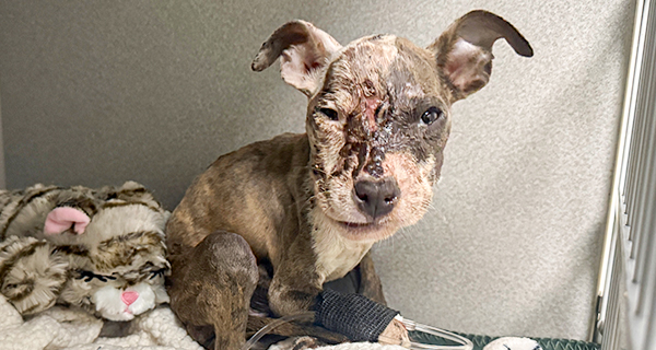 She almost didn't survive