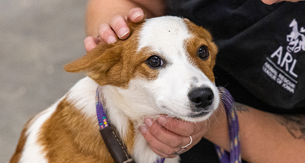 162 MORE animals in just 12 days