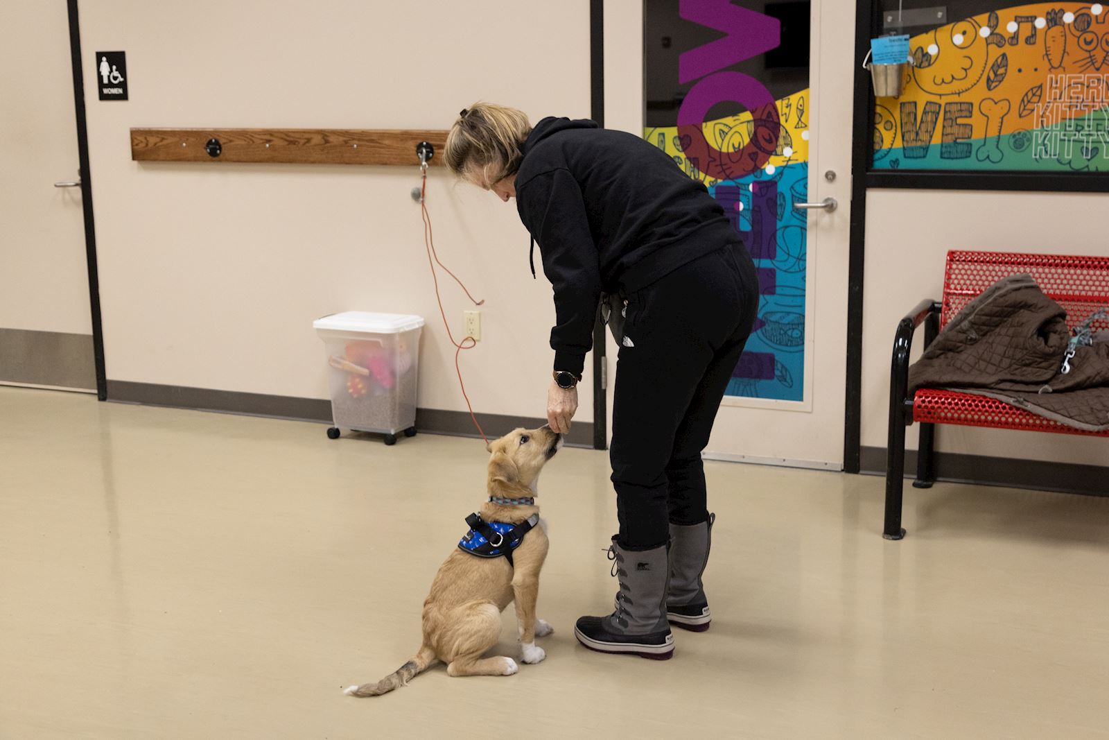 Clicker Training Your Dog