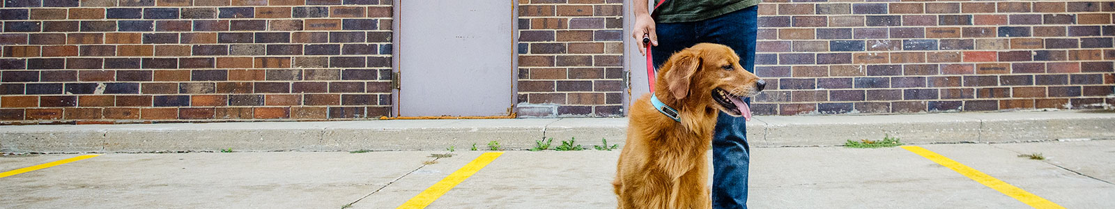 ARL Community Outreach