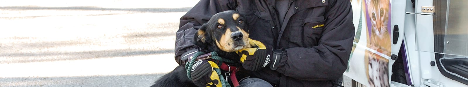 Animal Welfare and Response