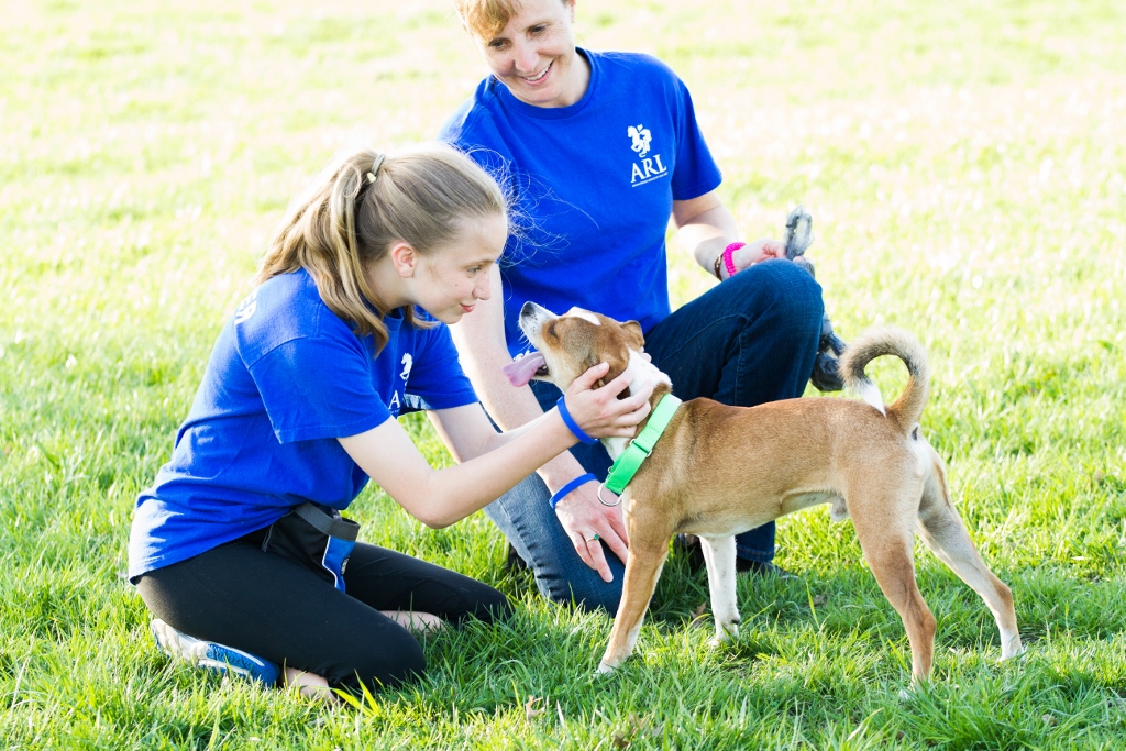 Group and Corporate Volunteering