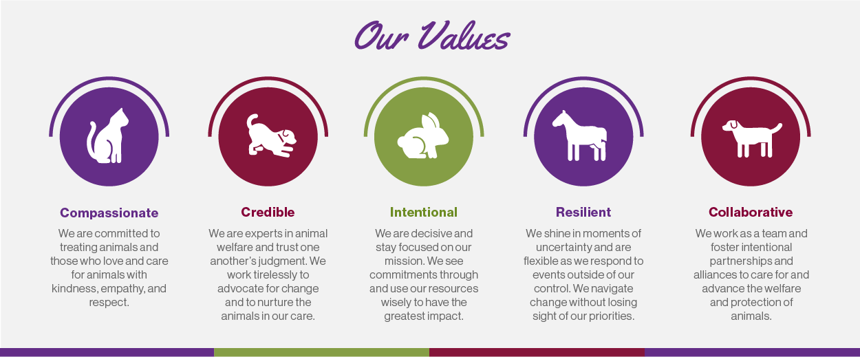 core values compassionate credible intentional resilient collaborative 