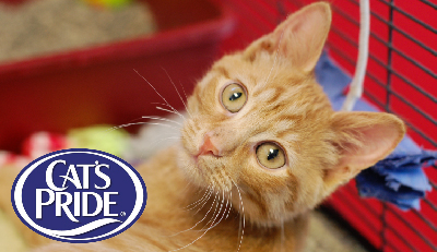 facility rentals auditorium