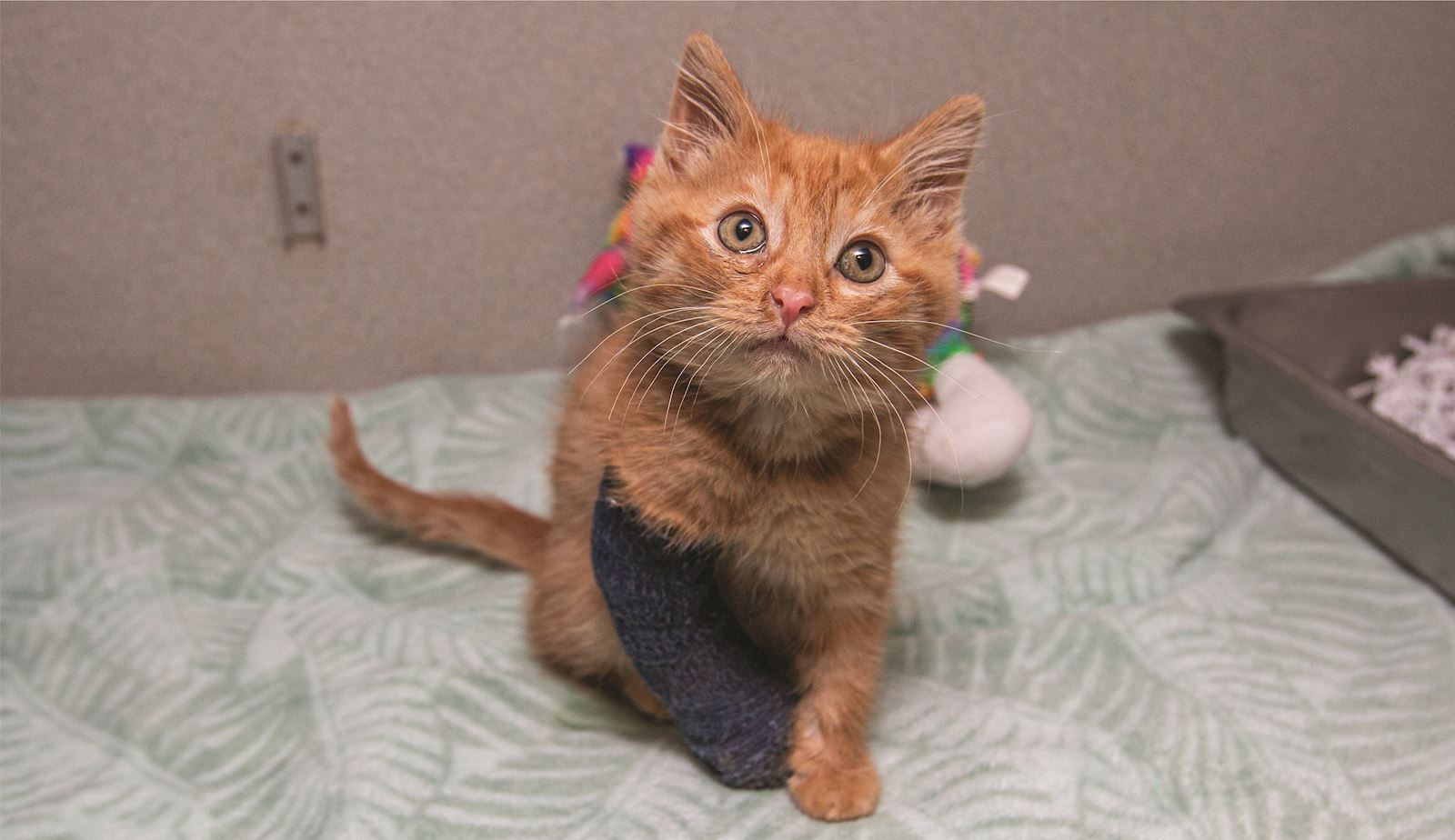 miracle medical fund